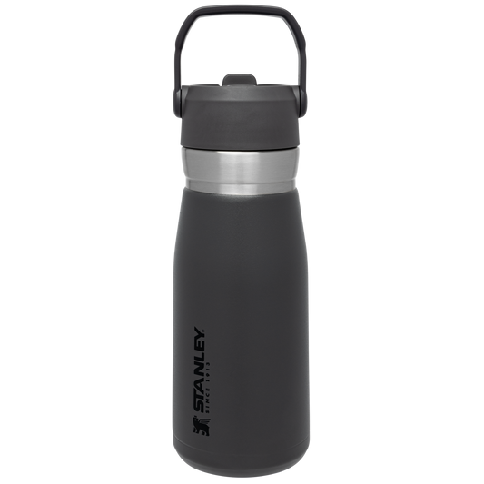 Go Flip Straw Water Bottle